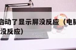 电脑主机启动了显示屏没反应（电脑主机启动了 显示器没反应）