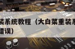 大白菜重装系统教程（大白菜重装系统教程系统盘向导错误）