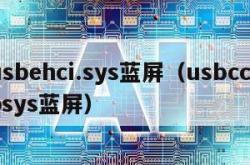 usbehci.sys蓝屏（usbccgpsys蓝屏）