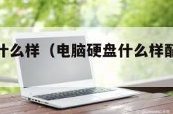 电脑硬盘什么样（电脑硬盘什么样配置比较好）